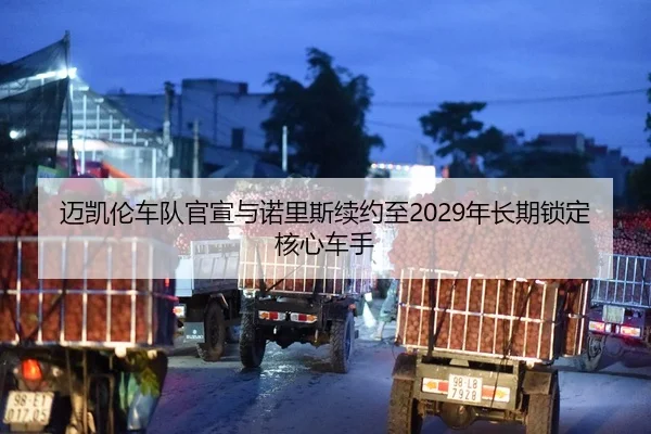 迈凯伦车队官宣与诺里斯续约至2029年长期锁定核心车手
